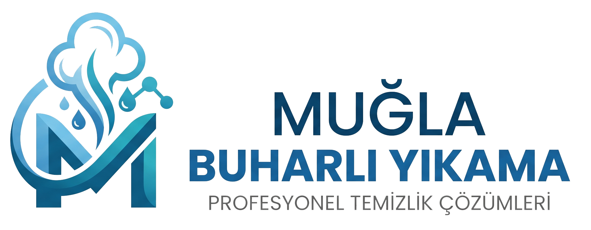 Muğla Buharlı Yıkama